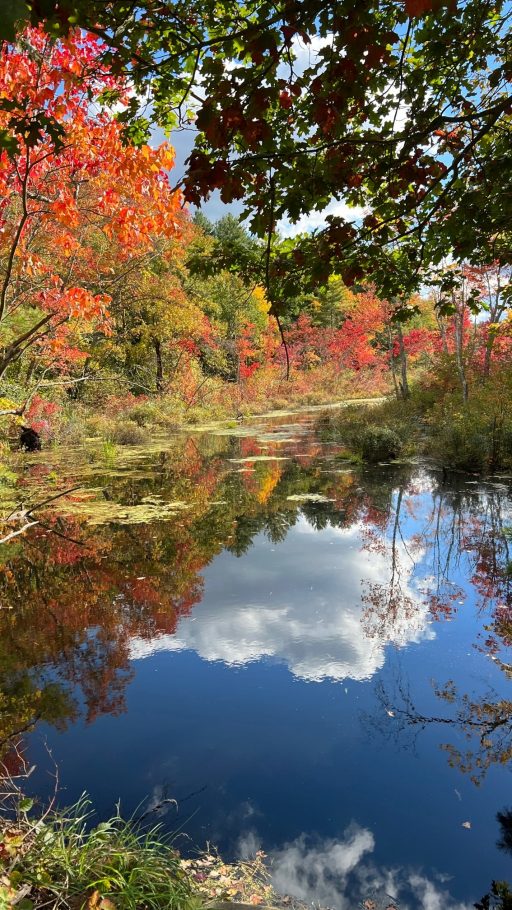 Fall in Boston