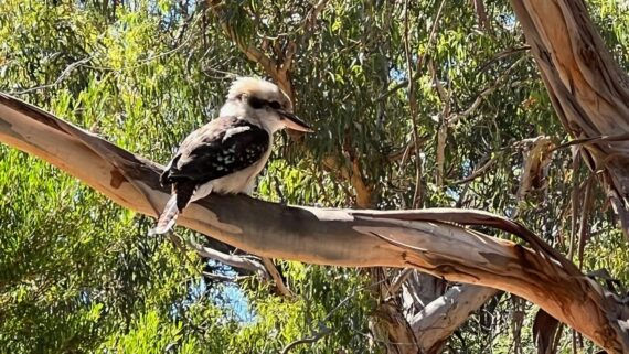 Australia